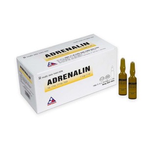 Dung dịch tiêm Adrenalin 1mg/1ml (50 ống/hộp)